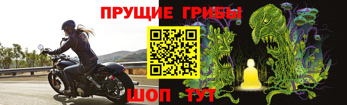 Биробиджан  Галлюциногенные грибы ЛСД  Галлюциногенные грибы Psilocybine cubensis  Вход с VPN 